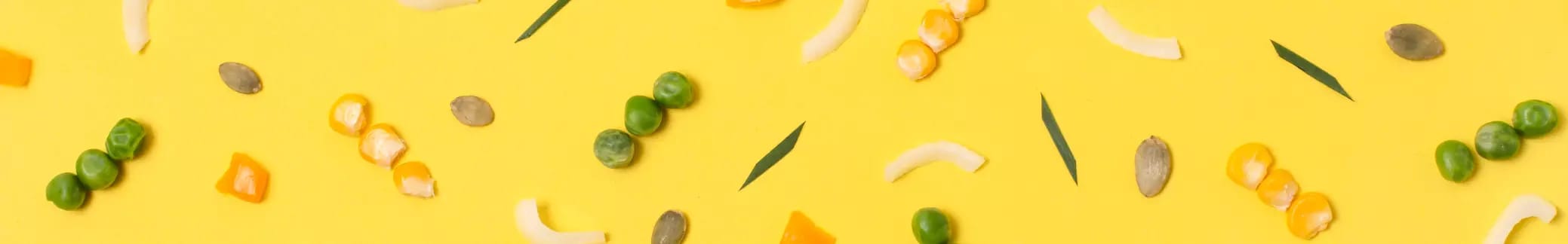 Fleischgerichte vom Schwein placeholder